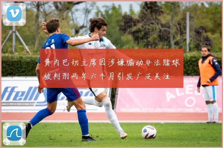 费内巴切主席因涉嫌煽动非法赌球被判刑两年六个月引发广泛关注