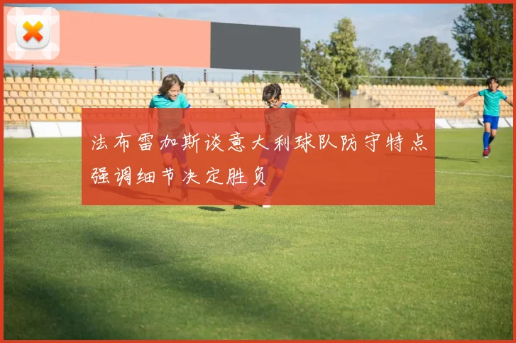 法布雷加斯谈意大利球队防守特点强调细节决定胜负