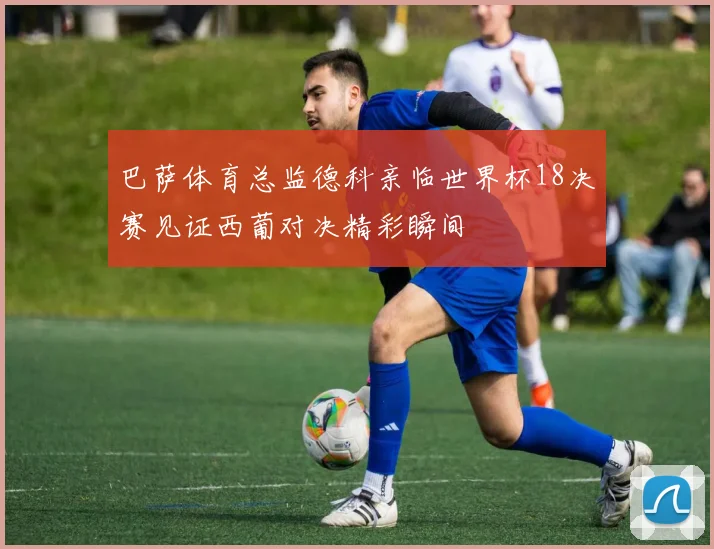 巴萨体育总监德科亲临世界杯18决赛见证西葡对决精彩瞬间